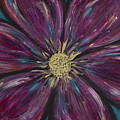 Embellish